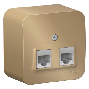 Розетка информационная Schneider Blanca (титан)