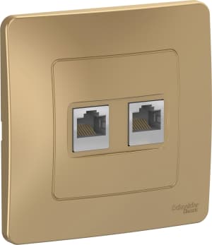Розетка информационная RJ45 двойная категория 5e (Титан)