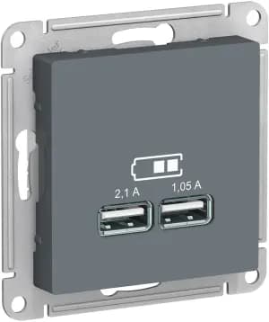 Зарядное устройство USB Schneider, USB-A x 2, 2.1A, 2.1A (Грифель)
