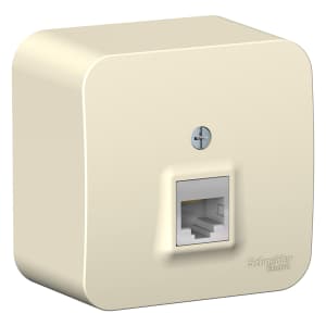 Розетка информационная Schneider Blanca (молочный)