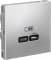 GAL000327 Зарядное устройство USB Systeme ArtGallery, USB-C (3.25A, 65Вт) (Алюминий)