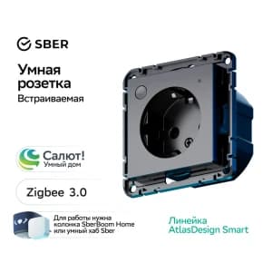Розетка электрическая Schneider со шторками (Карбон)