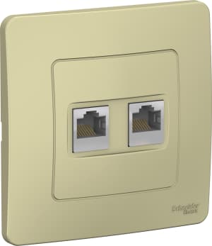 Розетка информационная RJ45 двойная категория 5e (Бежевый)