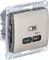 Зарядное устройство USB Schneider, USB-C, 65Вт (Титан)