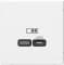 Зарядное устройство USB Schneider, USB-C (3.25A, 65Вт) (Лотос)