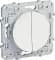 S52R213/S52R291{2} Двухклавишный переключатель Schneider Odace с подсветкой (Белый)
