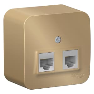 Розетка информационная Schneider Blanca (титан)