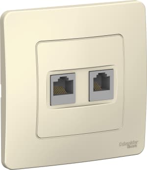 Розетка информационная Schneider Blanca (молочный)