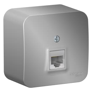 Розетка информационная Schneider Blanca (алюминий)