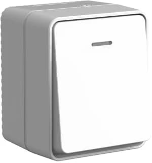Влагозащищенный одноклавишный выключатель с подсветкой IP54 (Серый)