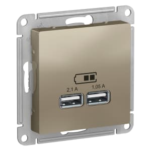 Зарядное устройство USB Schneider, USB-A x 2, 2.1A, 2.1A (Шампань)
