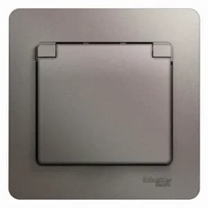 Розетка электрическая Schneider со шторками с откидной крышкой (Платина)