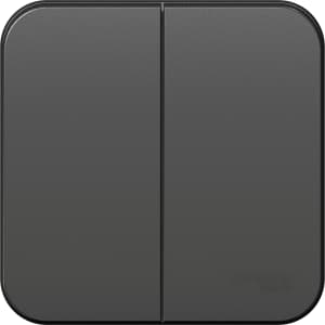 Двухклавишный выключатель