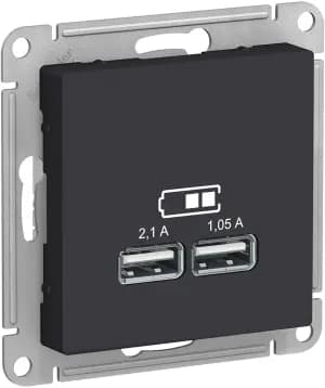 Зарядное устройство USB Schneider, USB-A x 2, 2.1A, 2.1A (Карбон)