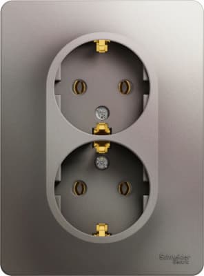 Розетка электрическая Schneider двойная (Платина)