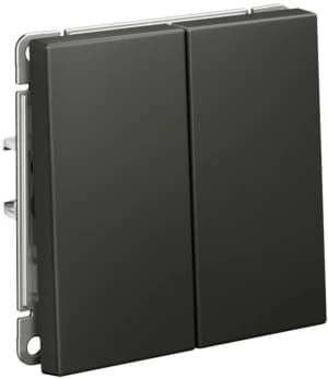 Двухклавишный переключатель на автозажимах (Базальт)