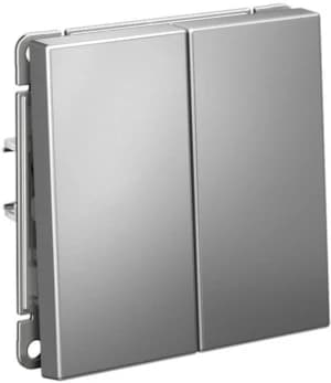 Двухклавишный выключатель (Сталь)