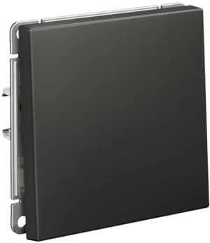 Одноклавишный выключатель на автозажимах (Базальт)