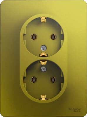 Розетка электрическая Schneider двойная (Фисташковый)