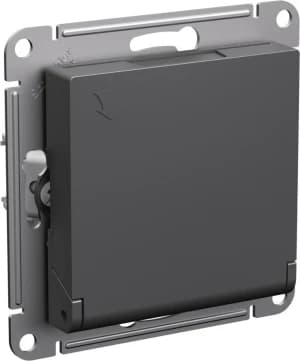 Розетка электрическая Schneider со шторками с откидной крышкой (Базальт)