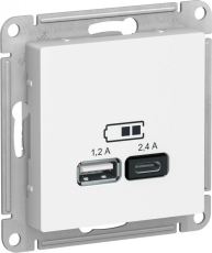   USB Schneider, USB-A + USB-C, 0.3 ()