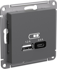   USB Schneider, USB-A + USB-C, 0.3 ()