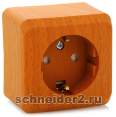        Schneider  ( )