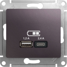   USB Schneider, USB-A + USB-C, 2.4A ( )