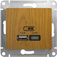   USB Schneider, USB-A + USB-C, 2.4A ( )
