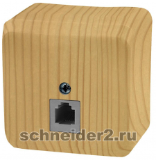   RJ11 Schneider  ()