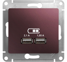   USB Schneider, USB-A x 2, 2.1A ()